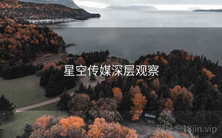 星空传媒深层观察