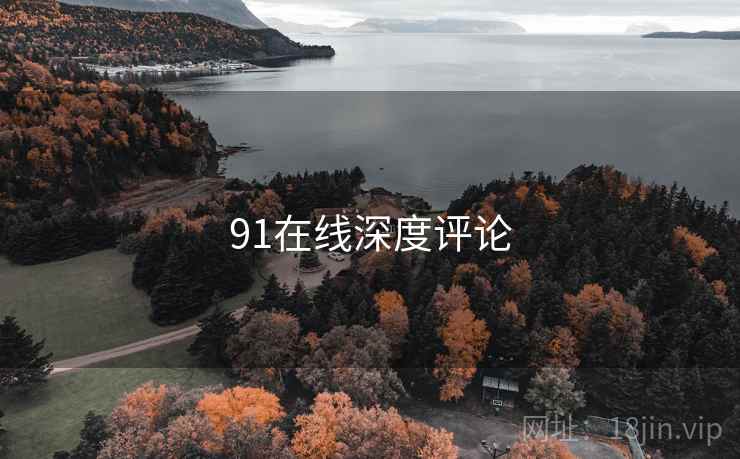 91在线深度评论