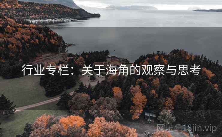 行业专栏：关于海角的观察与思考