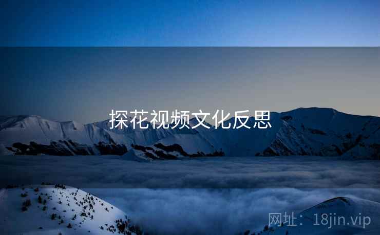 探花视频文化反思