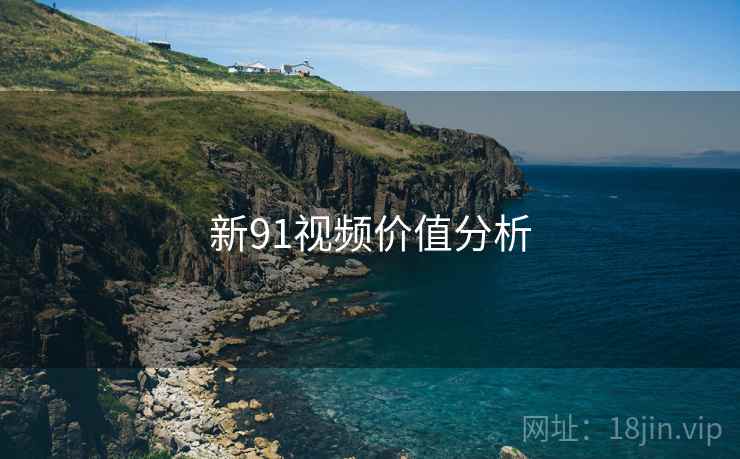 新91视频价值分析  第2张