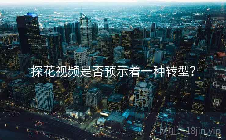 探花视频是否预示着一种转型？