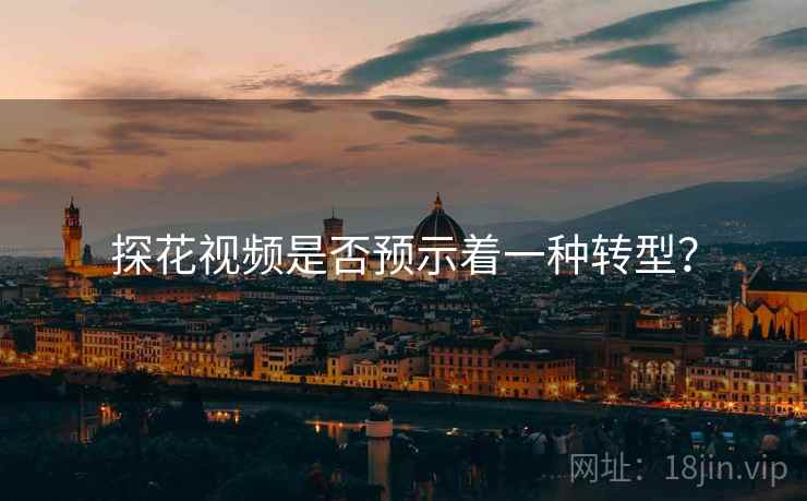 探花视频是否预示着一种转型？