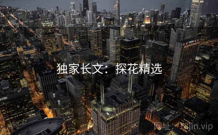 独家长文：探花精选