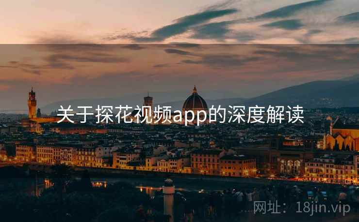 关于探花视频app的深度解读
