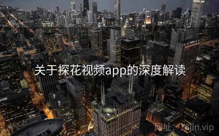 关于探花视频app的深度解读