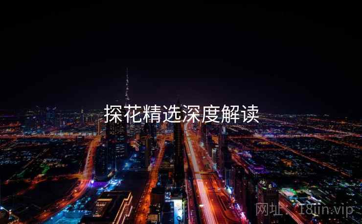 探花精选深度解读