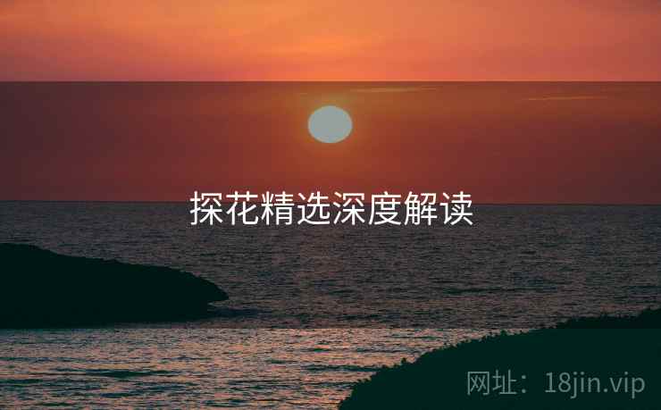 探花精选深度解读