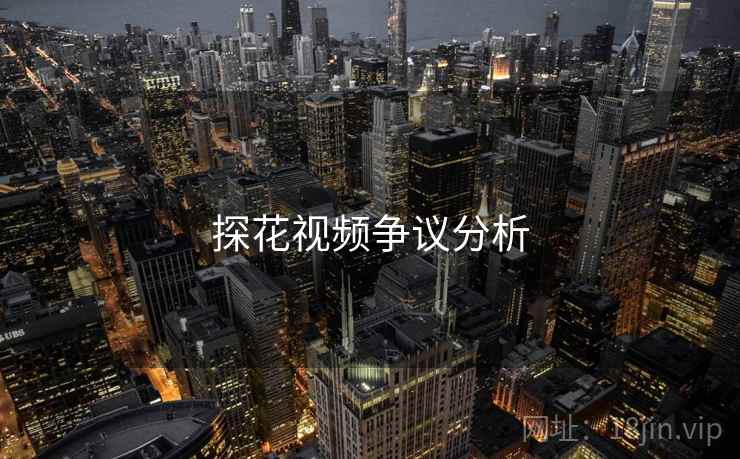 探花视频争议分析