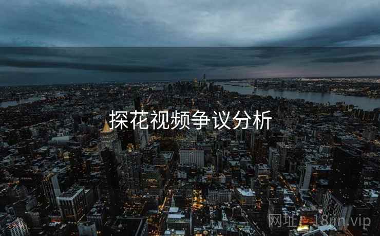 探花视频争议分析