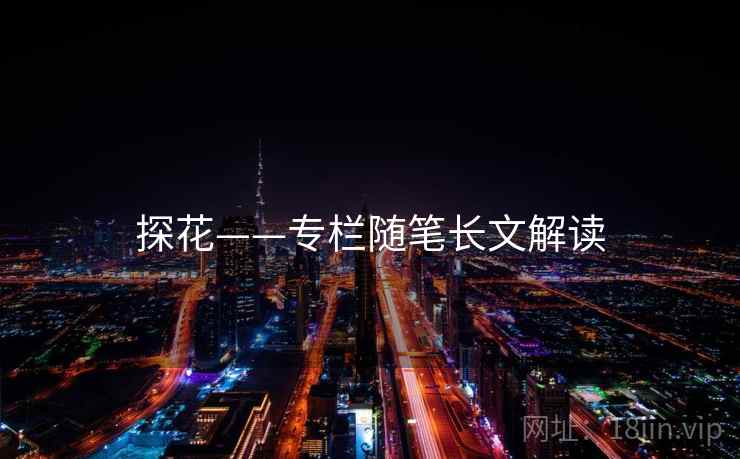 探花——专栏随笔长文解读