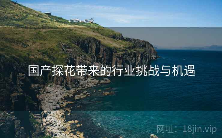 国产探花带来的行业挑战与机遇
