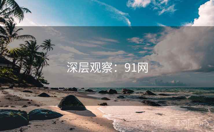 深层观察：91网