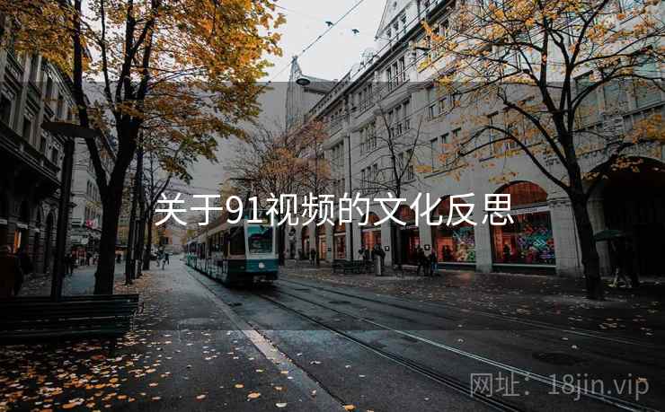 关于91视频的文化反思