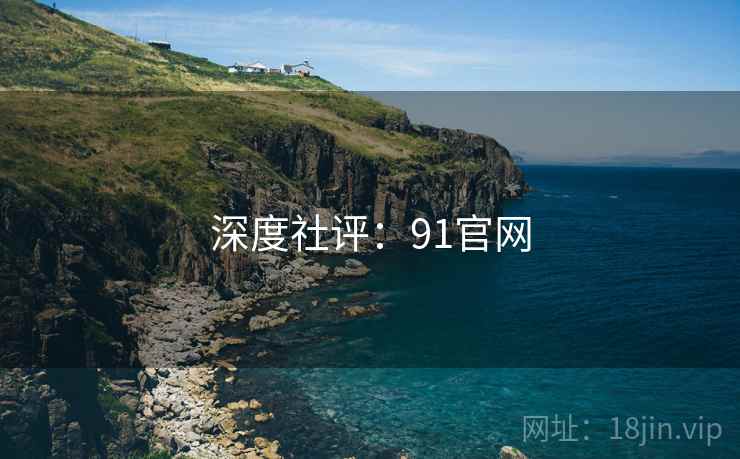 深度社评：91官网