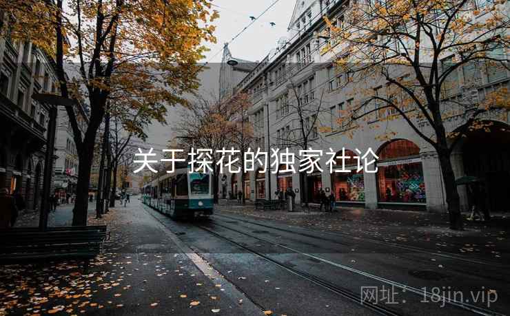 关于探花的独家社论