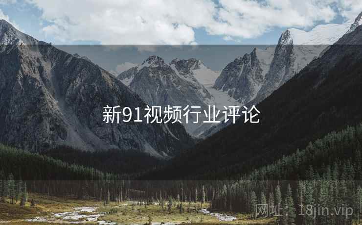 新91视频行业评论
