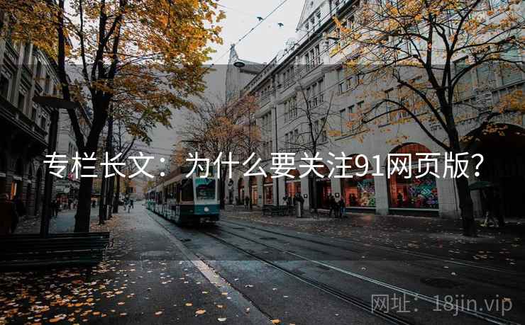 专栏长文：为什么要关注91网页版？