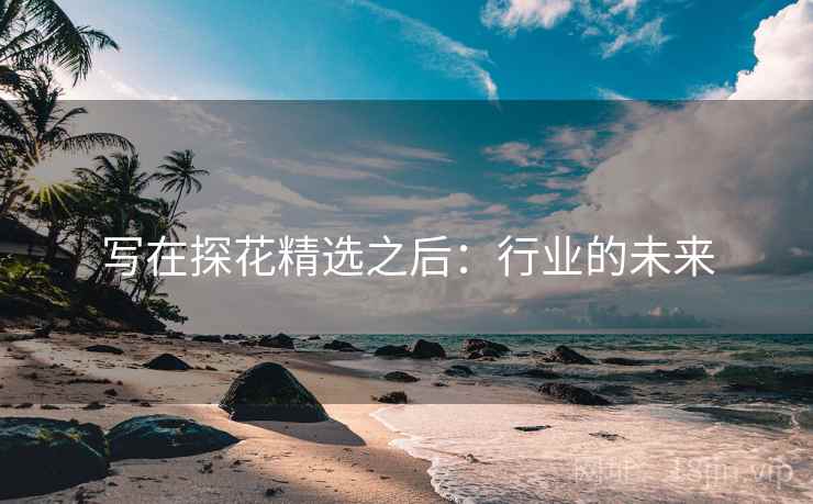 写在探花精选之后:行业的未来