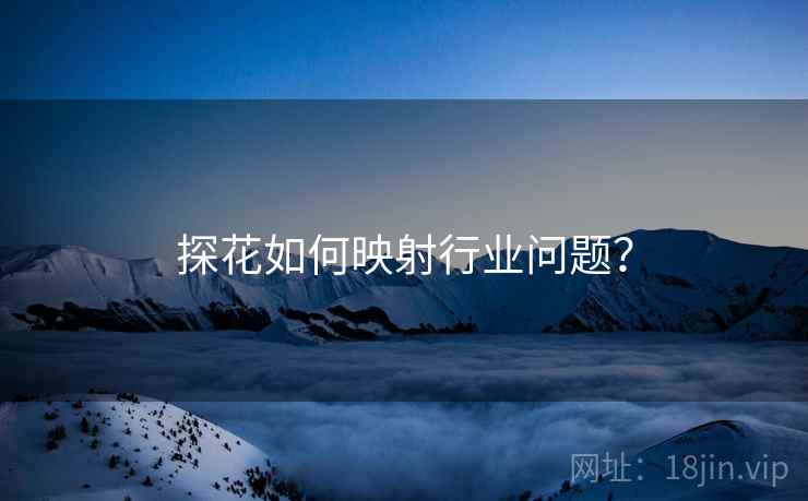 探花如何映射行业问题?