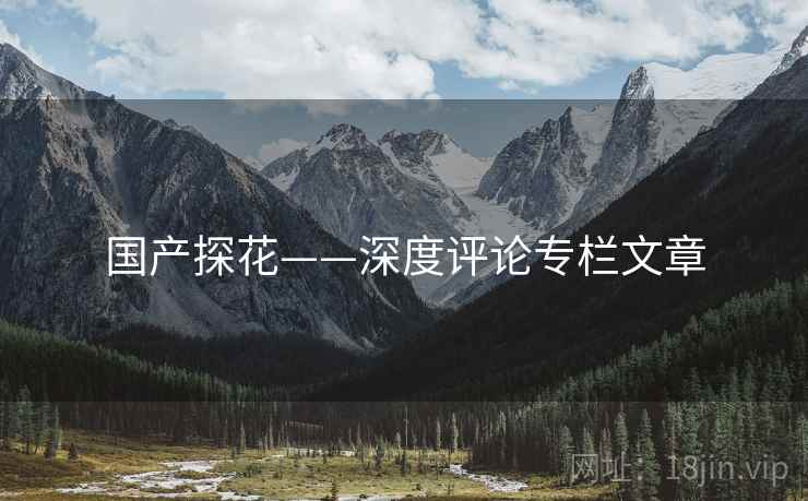 国产探花——深度评论专栏文章