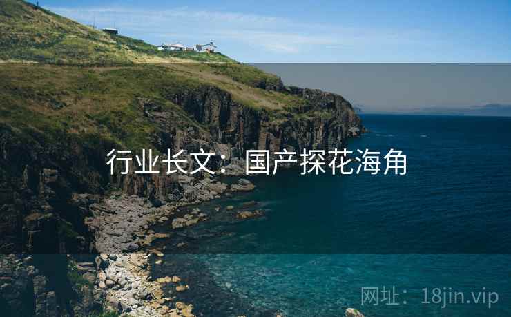 行业长文:国产探花海角
