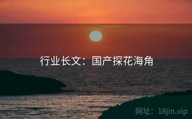行业长文:国产探花海角