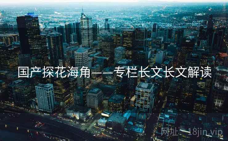 国产探花海角——专栏长文长文解读