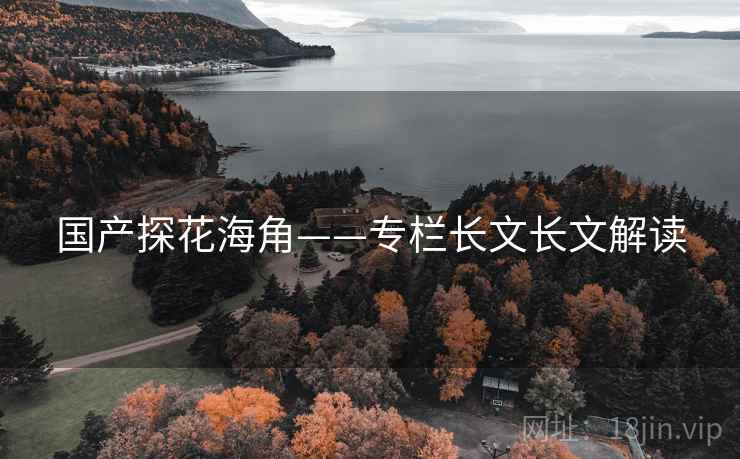 国产探花海角——专栏长文长文解读
