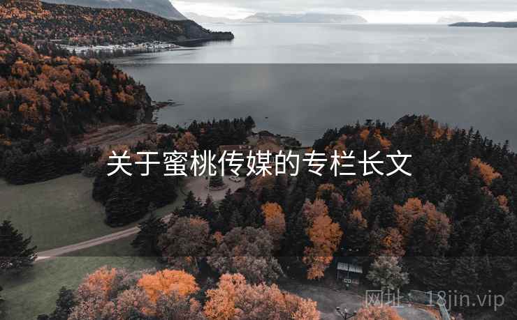 关于蜜桃传媒的专栏长文
