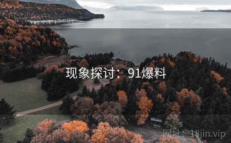 现象探讨：91爆料