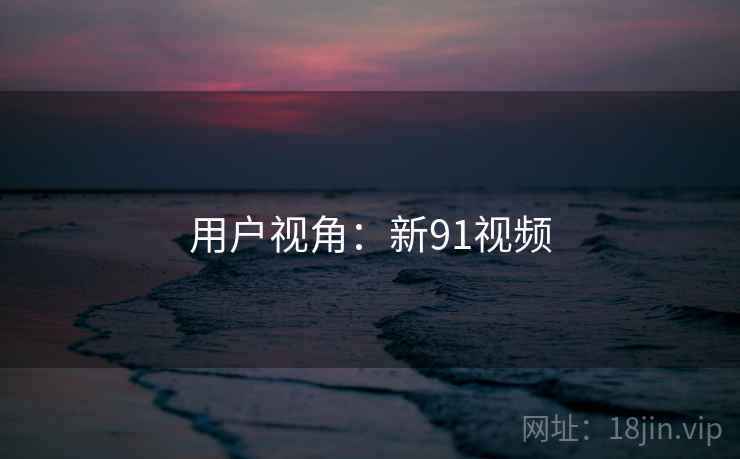 用户视角:新91视频